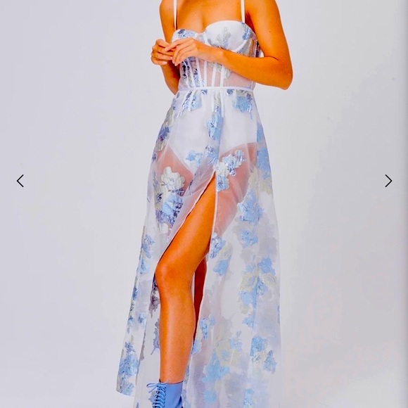 For Love And Lemons Dresses & Skirts - FOR LOVE AND LEMONS ORGANZA JACQUARD MAXI DRESS